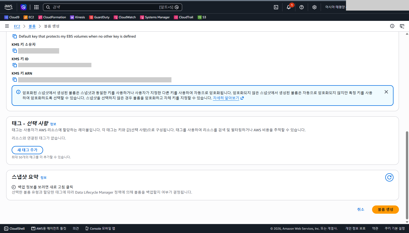 태그 칸과 스냅샷 요약 칸 아래 오른쪽에 취소와 볼륨 생성 단추가 보이는 화면
