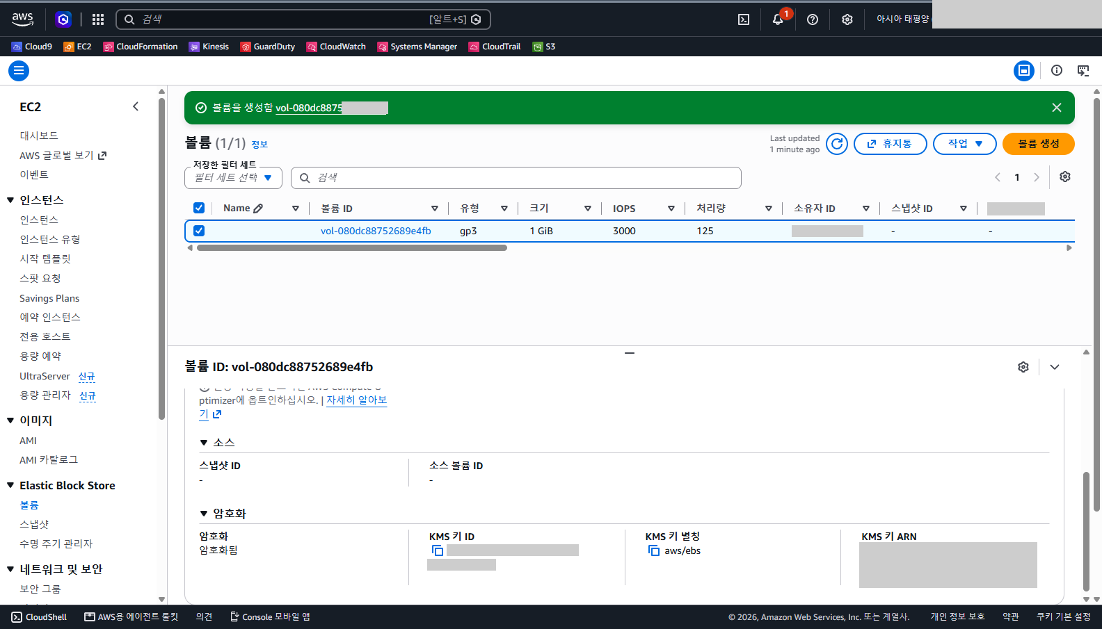 볼륨 세부 정보의 암호화 칸에 암호화됨과 KMS 키 별칭 aws/ebs가 표시된 화면