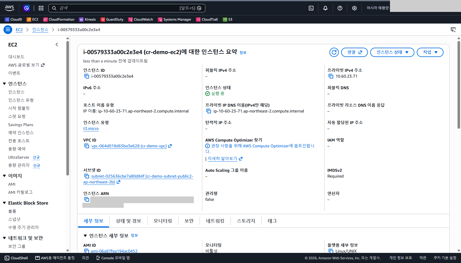 요약 화면에서 프라이빗 IPv4 주소가 10.60 대역이고 퍼블릭 IPv4 주소가 비어 있으며 VPC와 서브넷이 cr-demo로 시작하는 것을 확인합니다.